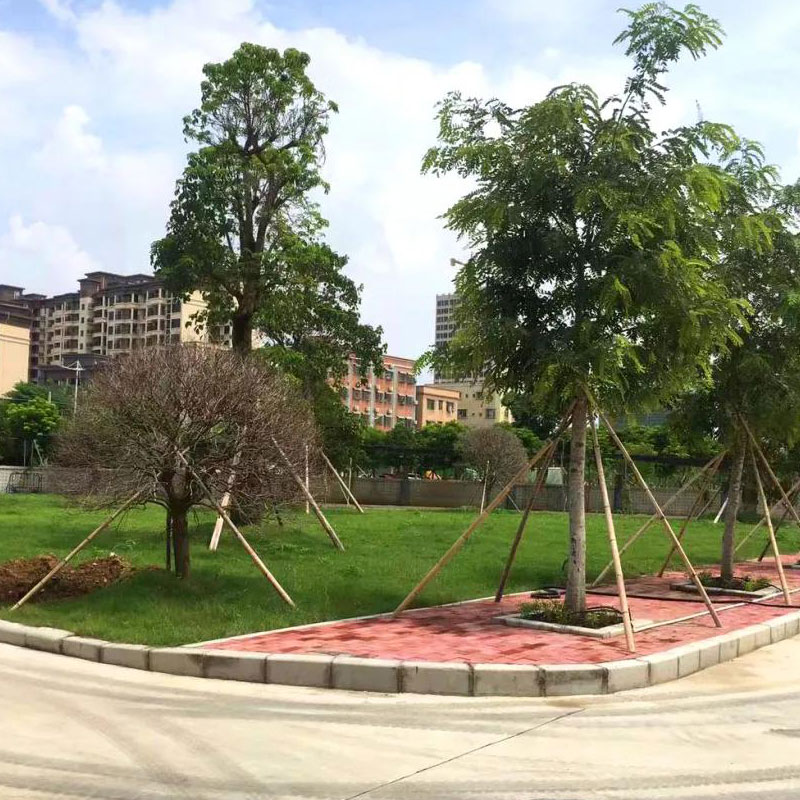 学校环境