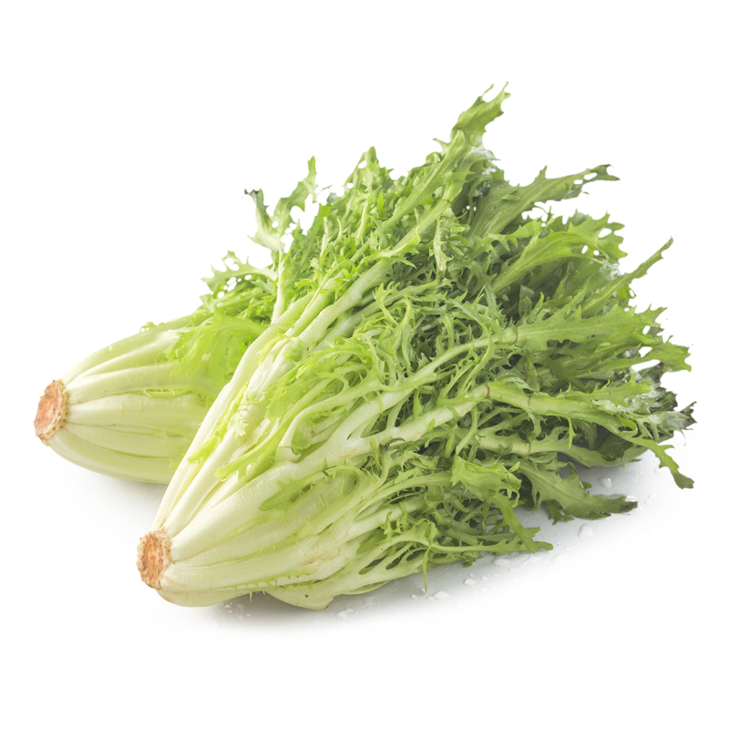 精选九阳生菜