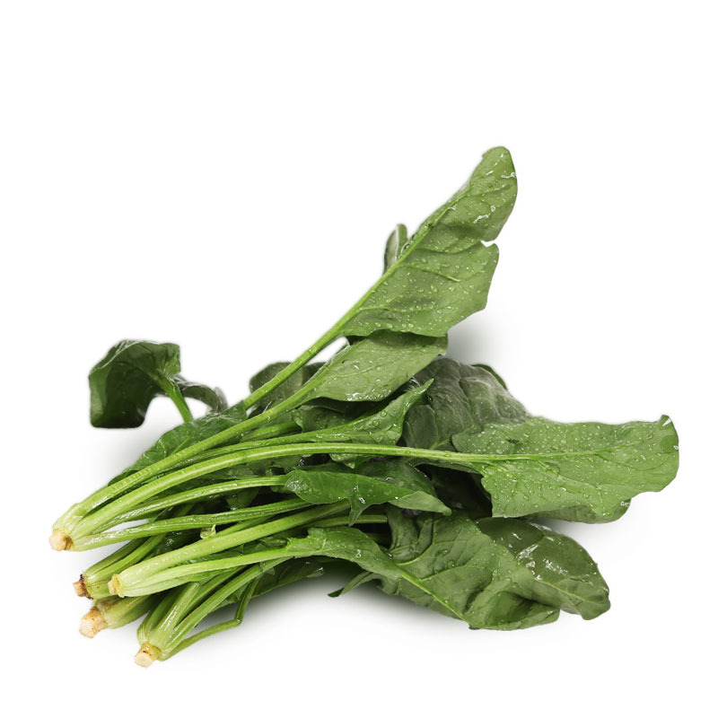 菠菜