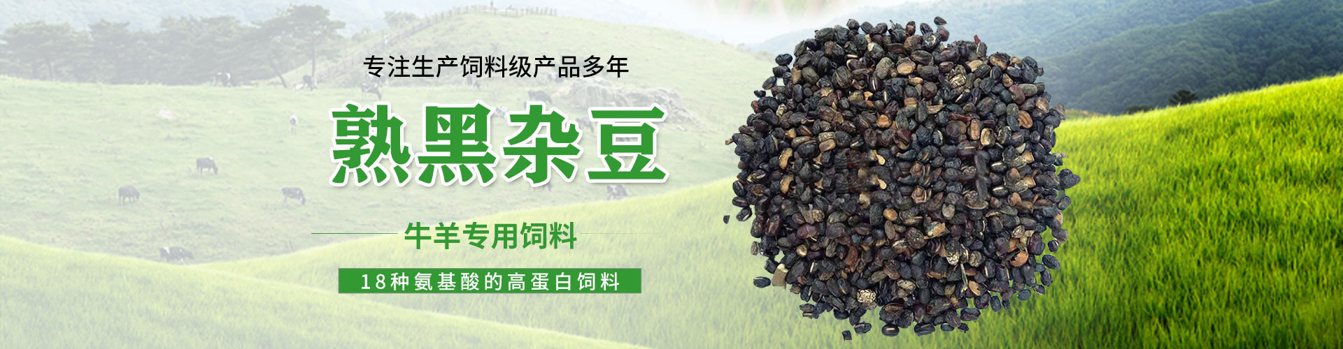 饲料6